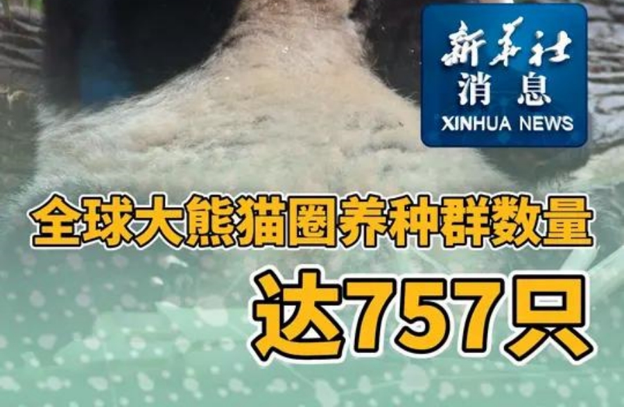 ȫèȦȺ757ֻ